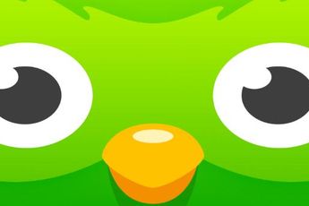 App van de Week: leer de taal van je vakantieland met Duolingo