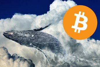 Whales in actie?  15.000 bitcoin uit 2014 gedumpt vóór forse daling