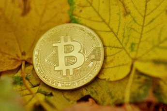 ‘Bitcoin alternatief nu obligatiebubbel barst’, aldus ceo Morgan Creek