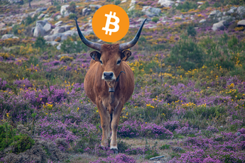Pantera Capital: "Bitcoin zit al in de volgende bullrun"
