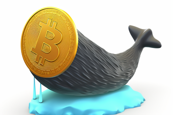 Whale stuurt 11.000 bitcoin naar Bitfinex