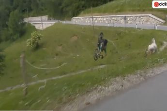 VÍDEO: ¡Pelos de punta! Filippo Zana da una voltereta en el aire a causa de una caída en el Tour de Eslovenia