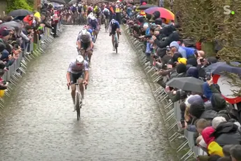 Organisatie Ronde van Vlaanderen doet bijzondere oproep aan de wielerfans: "Dat lukt al jaren niet meer"