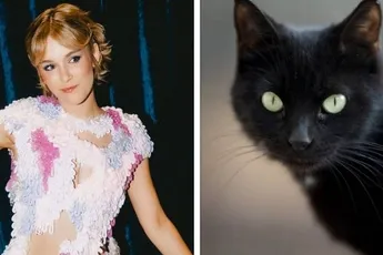 Mannen vallen massaal voor een 'black cat girlfriend'. Wat is dat en waarom is Pommelien Thijs hét schoolvoorbeeld ervan?