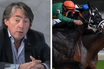 GAIA reageert scherp na drama met twee overleden paarden op Waregem Koerse: "Beter een eind aan maken!"
