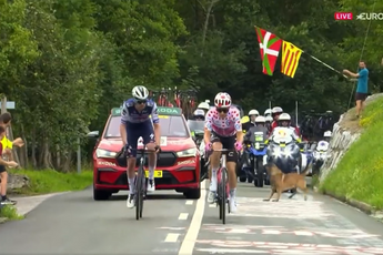 VIDEO: Near miss at the Tour de France as dog runs into the road