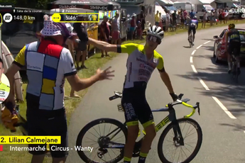 VIDEO: Frustrated Lilian Calmejane brought down by a supporter early on stage 9 at the Tour de France
