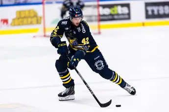 Panthers satser tungt før EHL-comebacket: Her er alle de nye spillerne