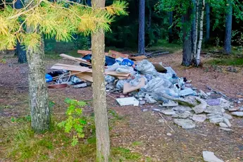 Brukte skogen som søppeldynge ved Busund