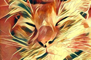 The Prisma app is now available on Android