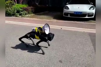 China: Robot dogs deliver health instructions