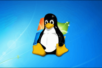 It Will Take 3-10 Years for Linux to Replace Windows in China