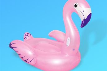 Xiaomi 90Kg Rhino/Flamingo Water Mount Arrives For 149 Yuan ($23)