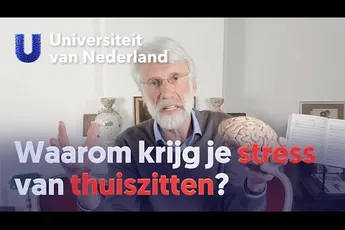 Video | Scherder: Waarom krijg je stress van thuiszitten?