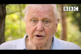 Video | Attenborough: 'Onmiddelijk actie nodig voor uitstervingcrisis'