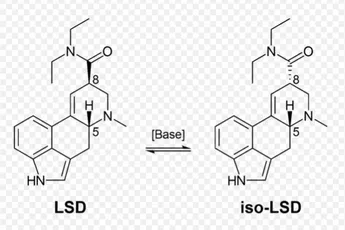Leven met stemmen in je hoofd, Timmers kan het inmiddels
