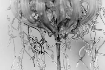 Inspiratie | 8 tips om rust te creëren in jouw piekerhoofd