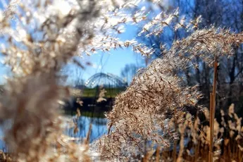 Inspiratie | Stop met snoozen en slaap beter!