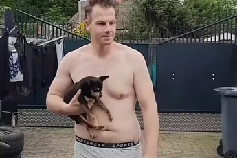 Chihuahua de klos in nieuwe video van Rapper Sjors
