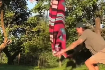 Losgeslagen Arie Boomsma misdraagt zich tijdens picknick (beelden)