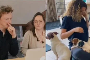 Inval met verborgen camera's bij puppycursus Amsterdam leidt tot schokkende beelden
