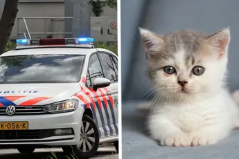 Capelle: Politie zoekt seriemoordenaar die dieren op bizarre wijze vermoord