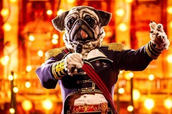 Kolonel Mops eerlijk over moeilijkheden in 'The Masked Singer': "Geoefend met nylonkousen op m'n hoofd"