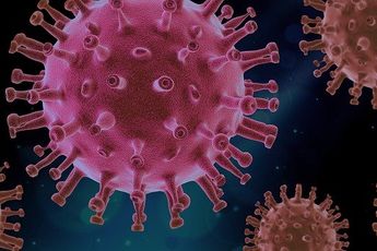 Alles wat je moet weten over een uitvaart ten tijde van het coronavirus!