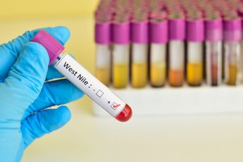 Tegelijkertijd met het coronavirus duikt nu ook het westnijlvirus op in Nederland: 'RIVM meldt tot nu toe zes besmettingen'