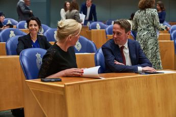 De laatste stuiptrekkingen van de PvdA: eigen wetenschappers zien groot risico in fusie met GroenLinks
