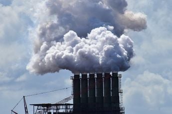 Stikstofbeleid blijkt wassen neus: grote bedrijven stootten veel meer uit dan toegestaan