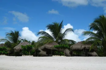 Suriname: natuur, gezelligheid en diversiteit!