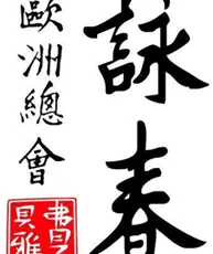 VING TSUN KUNG FU HOLLAND