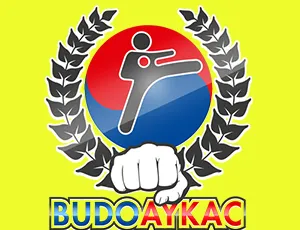 Budo Aykac vechtkunsten krijgskunsten zelfverdediging!