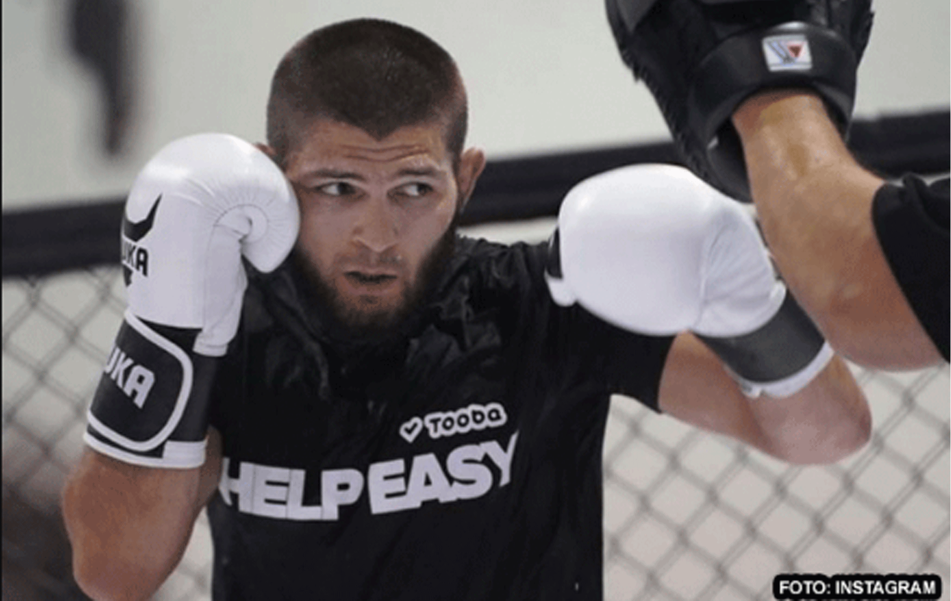 'Moeilijk om hem te haten!' Fans reageren op video UFC-ster Khabib Nurmagomedov