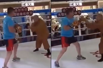 🎥  Opschudding! Bokser slaat fake Kung Fu expert compleet aan diggelen