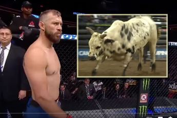 UFC vechtbaas White laat Donald Cerrone tegen stier vechten! '100.000 in de zak'