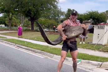 🎥 MMA-vechter vangt gevaarlijke alligator met z'n blote handen