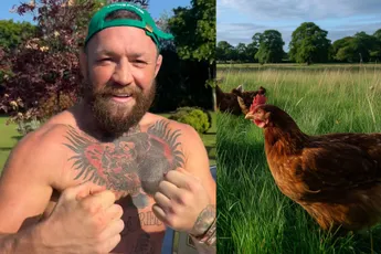 BEZOPEN! UFC ster McGregor stopt blik bier in kip en internet ontploft