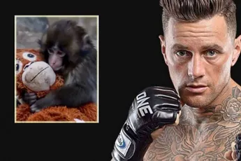 Verstoten aapje Punch kan rekenen op steun van Nieky Holzken en UFC-ster Arman Tsarukyan