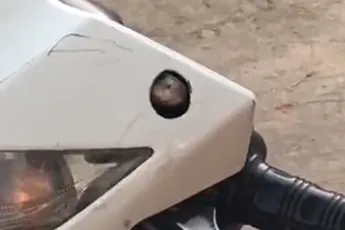 Cobra slang doet lockdown in iemand zijn scootertje