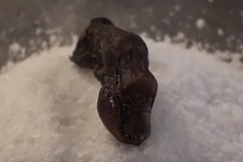 Sourtoe Cocktail met een echte menselijke teen