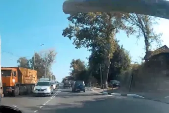 Pats en zeg maar hallo tegen een paal