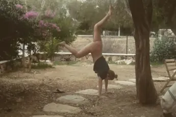 Handstand faal en hond die mogelijkheden ziet