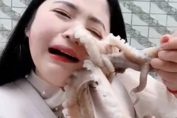 Octopus steelt show tijdens livestream