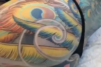 Prachtige pauw als fijn prikplaatje