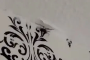 Frenchy Morgan wil zich laten verbouwen tot Aziatische anime pop