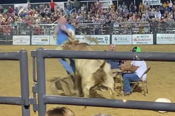 Potje Bull Poker verliep niet zo heel fijn voor een van de deelnemers