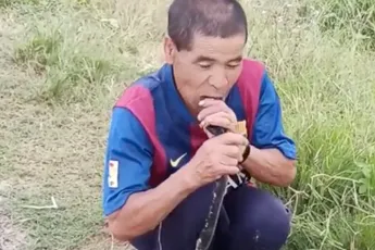 Gast uit India doet precies wat je allemaal niet moet doen met een King Cobra