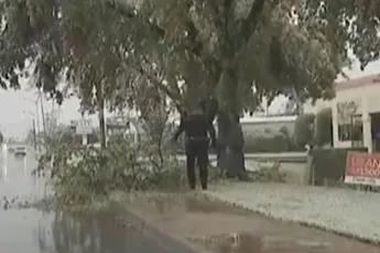 Agent verliest het van tak op hilarische wijze